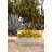 Veradek Demi Series Garden Bed Planter 42" Planter-122876865-122876868