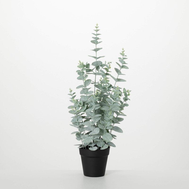 Artificial Small Potted Eucalyptus Tree 27"H; Green