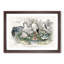 Crane, Stork, Egret & Heron by Oliver Goldsmith - Framed Print-55490287-55490290