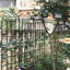 Barrière de jardin, paquet de 2 treillis de jardin en métal antirouille pour plantes grimpantes-116793896