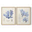 Algue bleue bleue - reproduction encadrée de qualité supérieure - prête à être accrochée - aucun clou requis - aucun clou requis-1282725716-1282725719