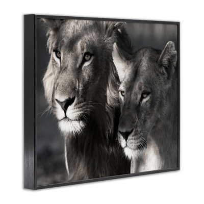 «Strong Lion & Lioness», art de la giclée encadrée par Danita Delimont