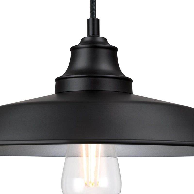 Luminaire suspendu en forme de dôme à 1 lumière Iron Hill, Métal, Noir mat