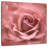 Harnek Misty Rose Pink Rose-109232149