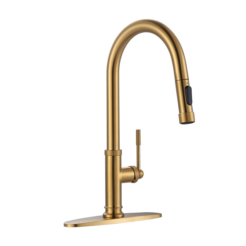 Robinet de cuisine à fixation sur le comptoir avec douchette rétractable à une poignée et deux options de débit d'eau, Doré
