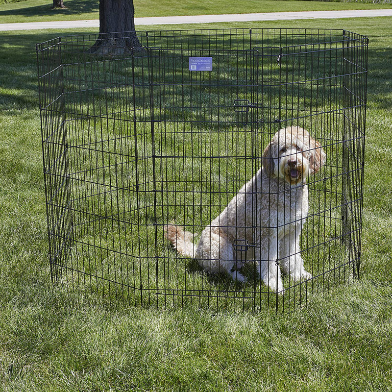 Black Metal 24" x 48" Exercise Pen with Door