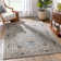 Delatorre Traditional Oriental Persian Grey Rug
