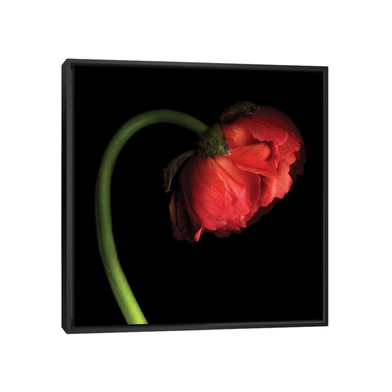 «Little Red Lantern» par Magda Indigo - Estampe numérique sur toile tendue avec châssis, H 18 po x l 18 po x P 1,5 po