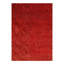 Shalesh Area Rug in Red