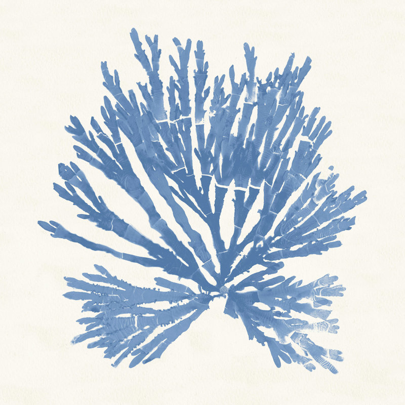 Pacific Sea Mosses II - bleu clair, H 36 po x l 36 po x P 1,25 po