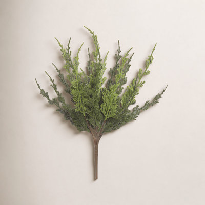 Cypress Floral Stems