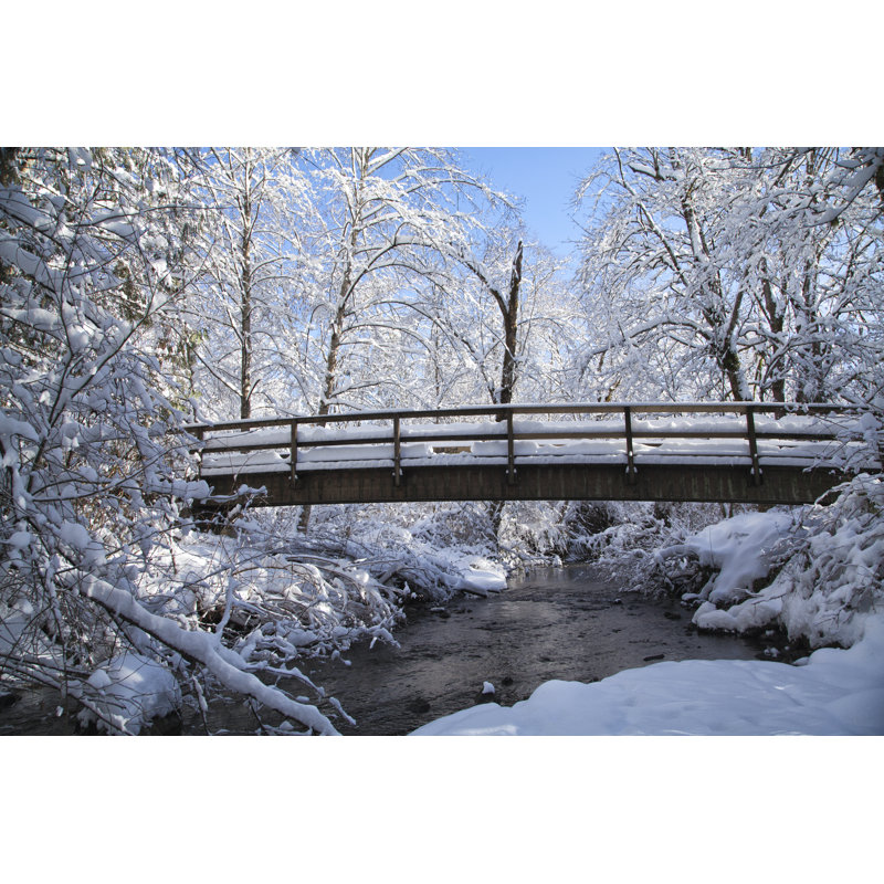 Winter Wonderland, Vancouver by LeonU - Wrapped Canvas Print, 30cm H x 46cm W