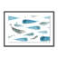 Whale Whale Print by Jess Engle-48615005-48615004