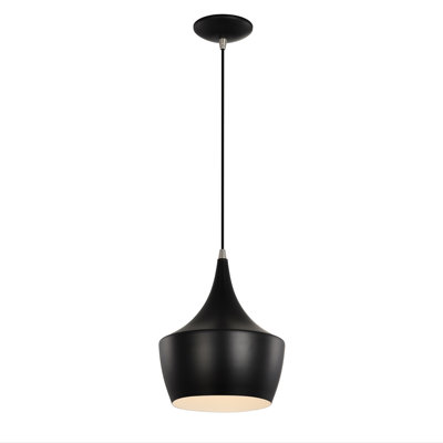 Xochitl 1 - Light Shaded Pendant