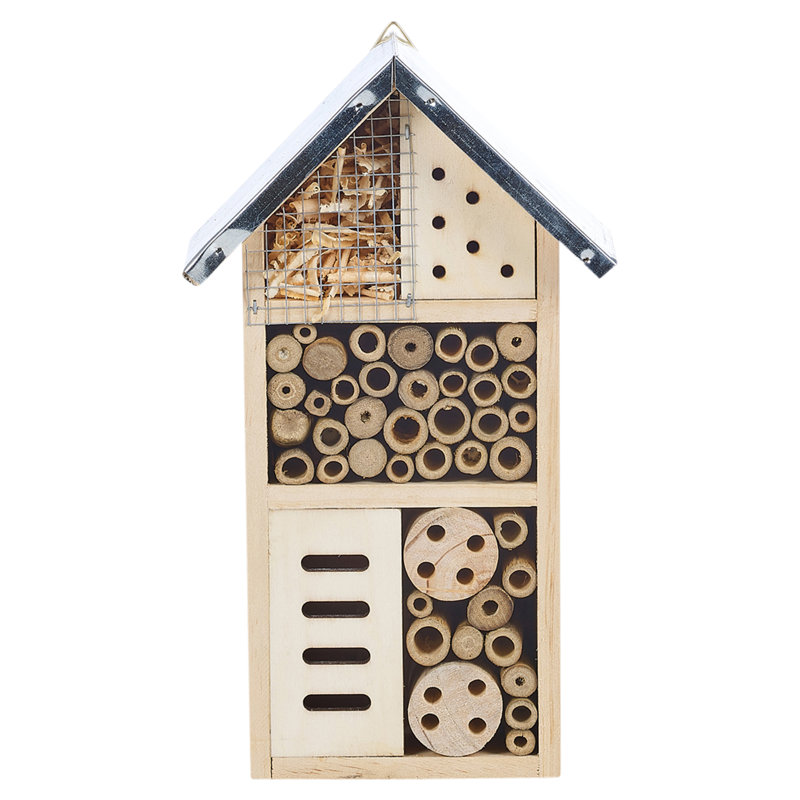 Amberboi Mounted Insect House