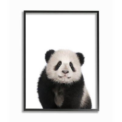 Framed Art