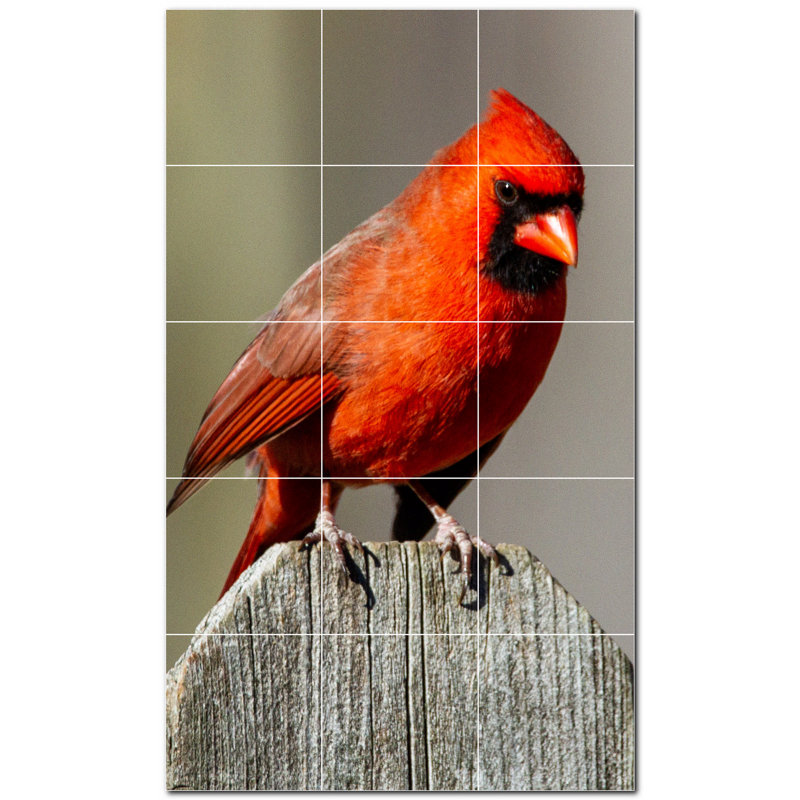 Panneau décoratif en céramique satinée Bird Photo 12 po x 12 po