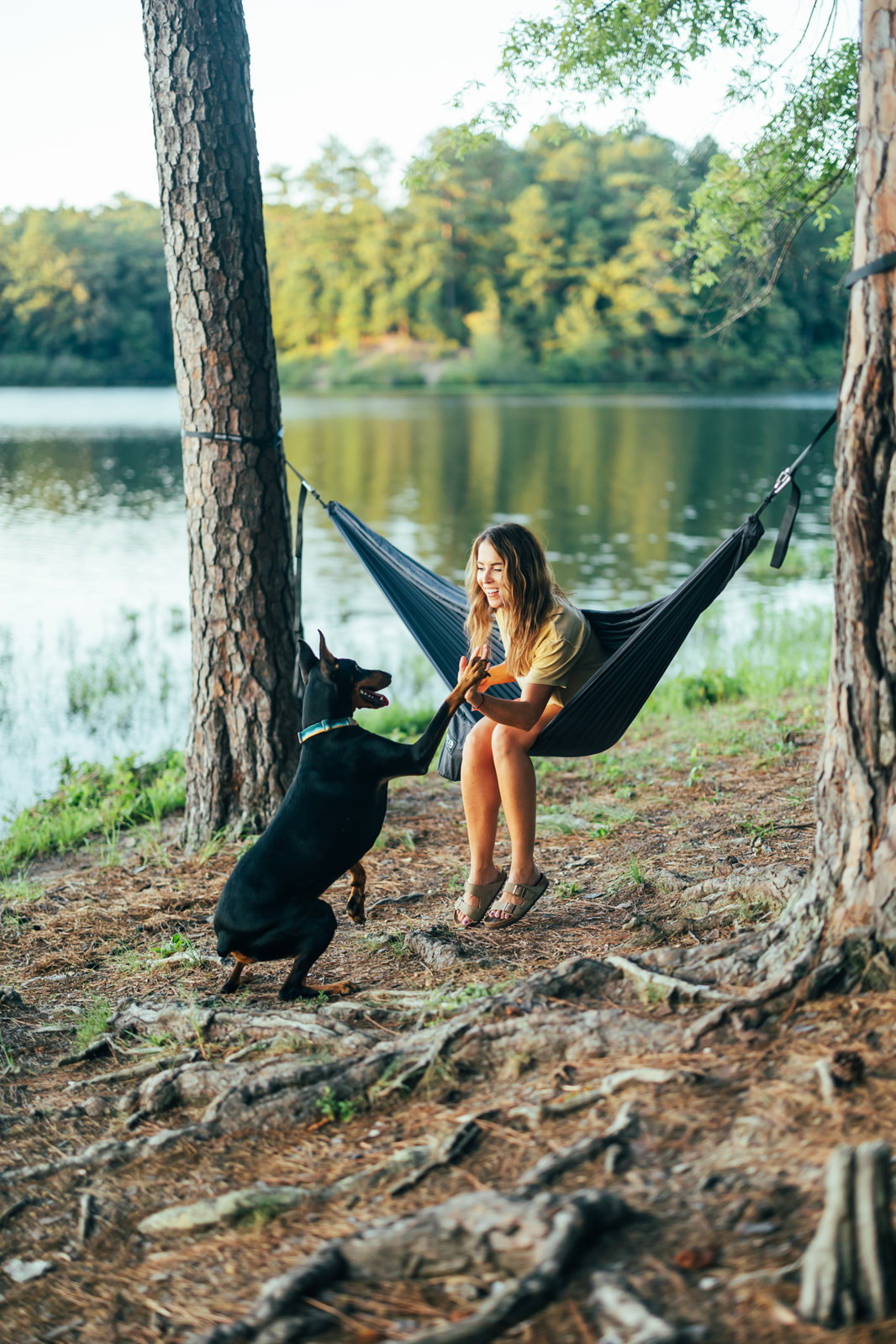 TravelNest™ Hammock + Straps Combo