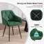 Bharmal 50.5cm H Velvet Upholstered Armchair-381732070-342173892