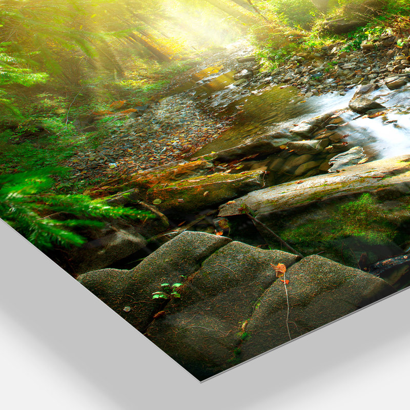 Mountain Stream in Forest - Landscape Photography Canvas Print, Metal, 34" H x 44" W x 1.5" D