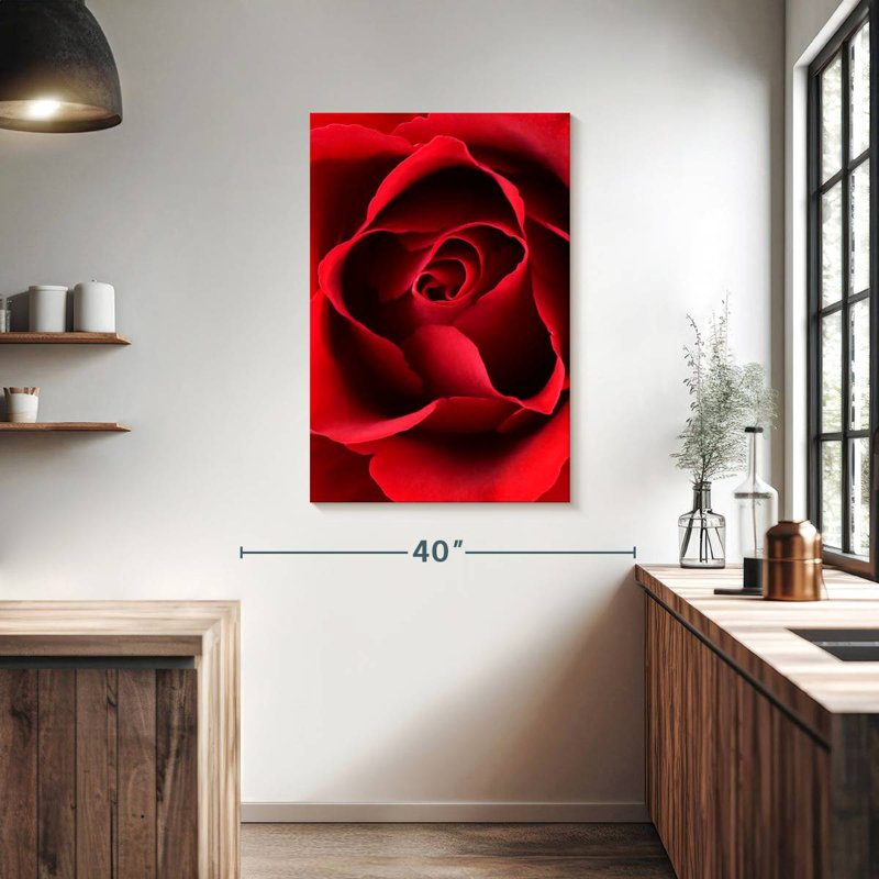 Harnek, gros plan, vue, rose rouge, H 39 po x l 26 po