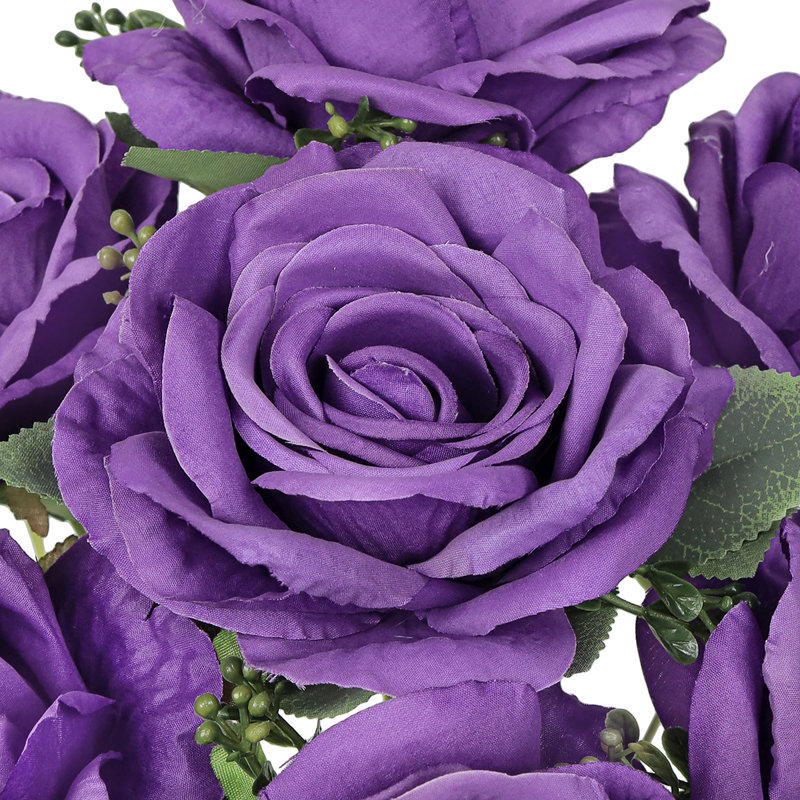 Rosiers, Mauve