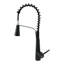 Belfry Kitchen Dunfee Pull Out Kitchen Faucet-1067238069