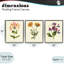 Ensemble de cadres flottants 3 pièces Vintage Flowering Plants, conception par Connie Resch-28108017-28108018