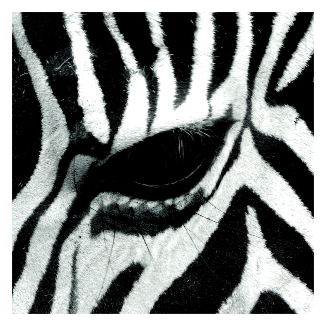 Strukturierte Fototapete Zebra Crossing 1,92 m x 192 cm