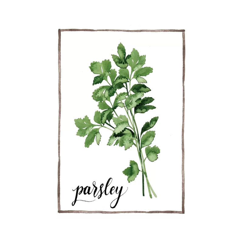 Watercolour Herbs II - Wrapped Canvas Print, 66.04 cm H x 45.72 cm W