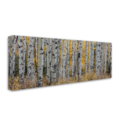 " Aspen Trees " by Pierre Leclerc