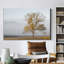 Cades Cove - reproduction de photo sur toile tendue-488197953