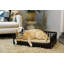 Canapé pour chien avec coussin amovible Ace-2133267724-2133267720