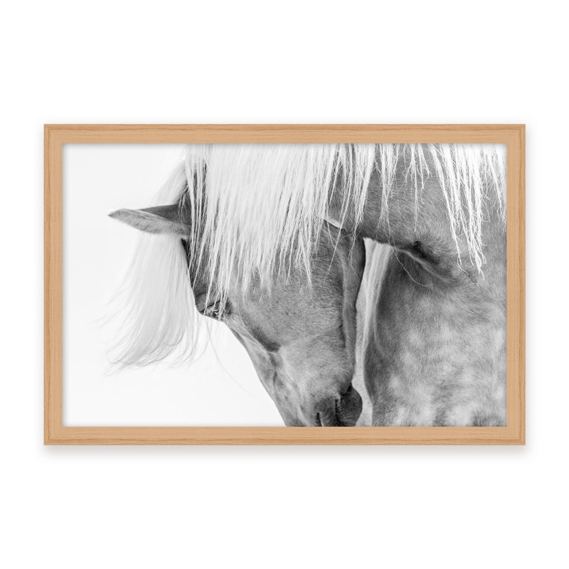 Nature Inspired Halflinger Portrait by  - Picture Frame Photograph on Paper, Framed Canvas, 32" H x 48" W x 2.375" D, Brown