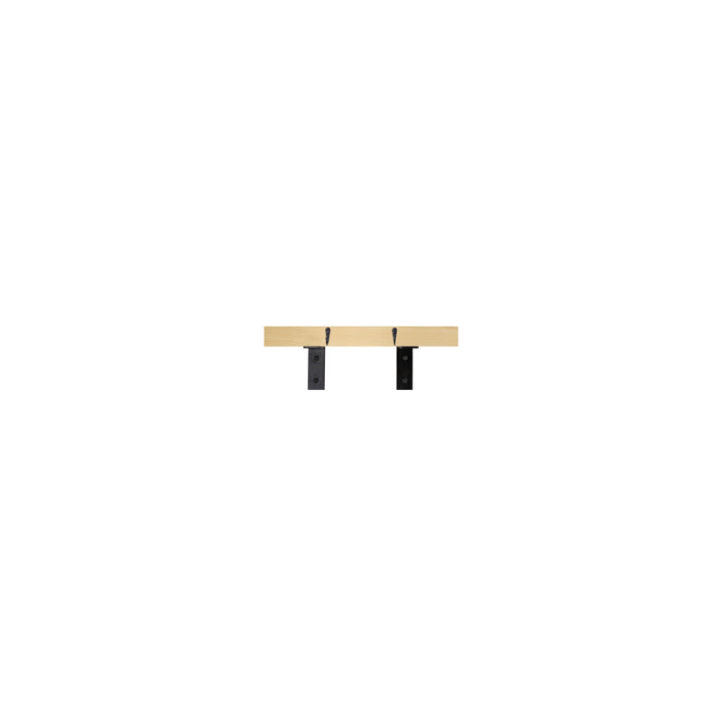 Rayne Plate Display Shelves With Hooks, Natural, 18/3/2