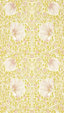 Sunflower/Pink