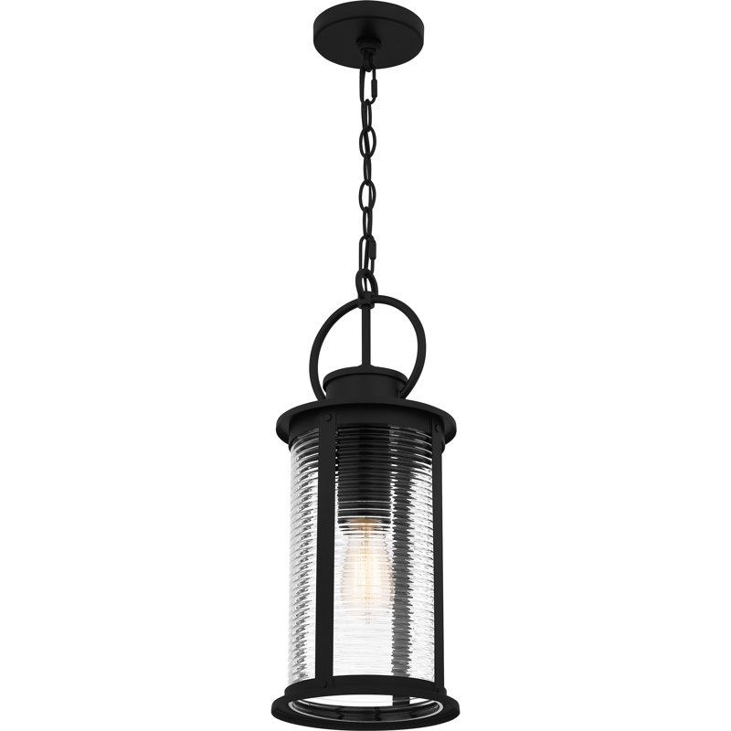 Tilmore 1-Light Matte Black Outdoor Hanging Lantern