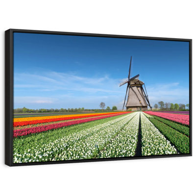 Windmill And Tulips Canvas Print