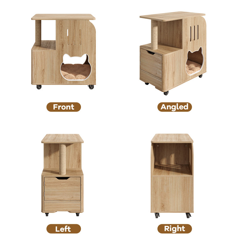 Cat Feeding Station
