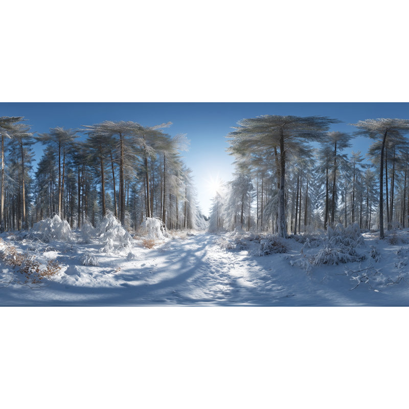 Art mural sur toile Sunlit Winter Path, 20 po x 40 po