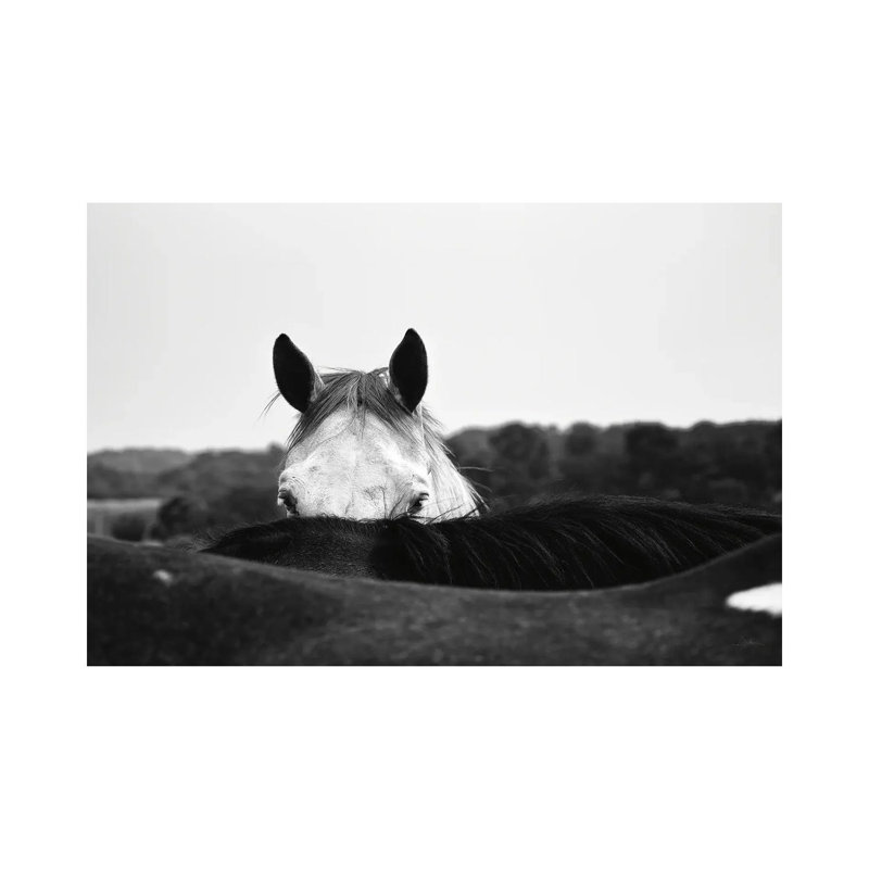 Flirt by Aledanda - Wrapped Canvas Print, 20.32 cm H x 30.48 cm W