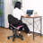 Aldous 360° Swivel Writing Office Task Chair with Mesh Back and Adjustable Height-507603429
