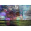 Parvez Taj - Wrapped Canvas Print-15807019