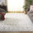 Akiharu Fringe Shag Performance Southwestern Rug-173541259