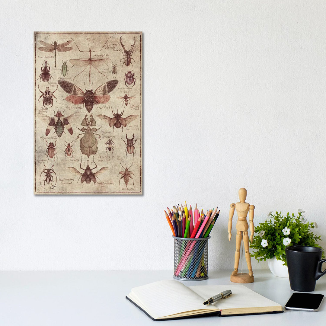 Leinwandbild Vintage Insects von Mike Koubou