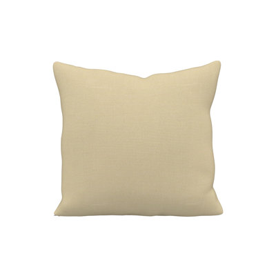 Indoor/Outdoor Throw Pillow