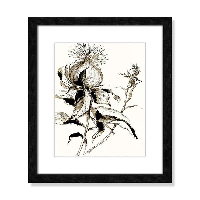 Botanical Seed II par - impression, Cadre noir, H 15 po x l 13 po x P 0,75 po