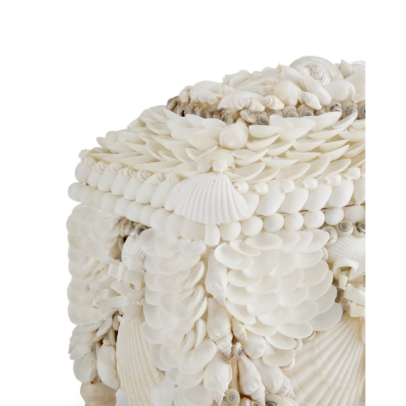 Boardwalk Shell Jewelry Box