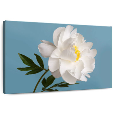 Harnek White Peony Flower