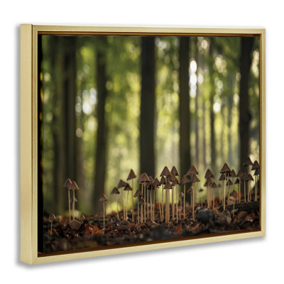 «Mushroom Sprouts in Forest», art mural sur toile flottante par Martin Podt